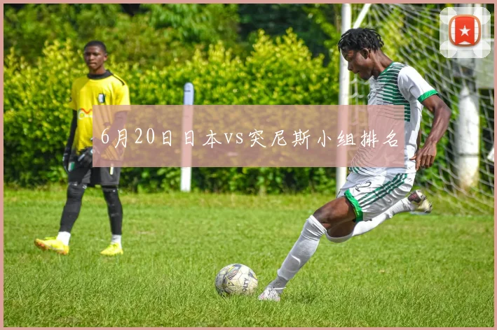 6月20日日本vs突尼斯小组排名