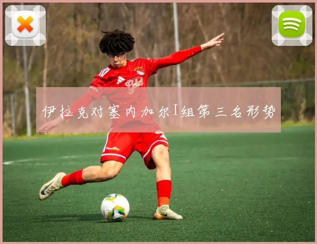 伊拉克对塞内加尔I组第三名形势