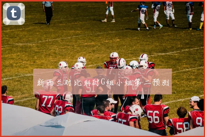 新西兰对比利时G组小组第二预测