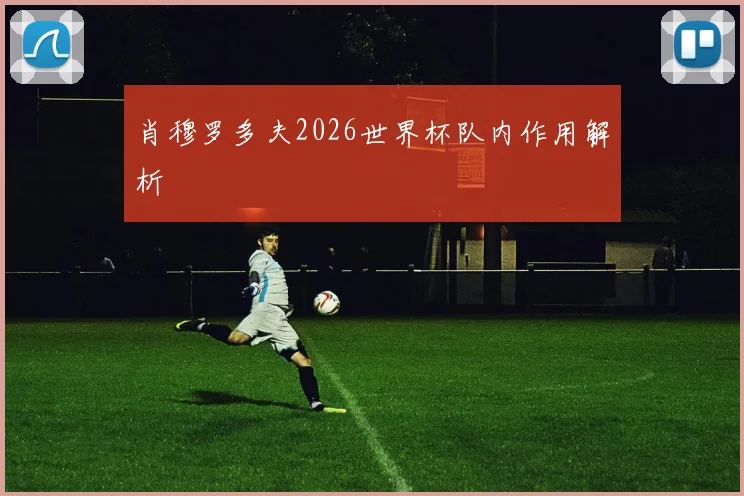 肖穆罗多夫2026世界杯队内作用解析