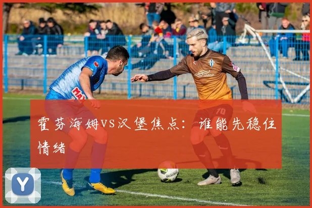 霍芬海姆vs汉堡焦点:谁能先稳住情绪